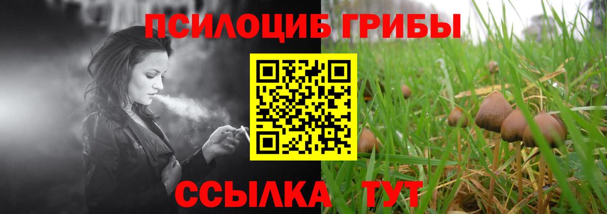 Галлюциногенные грибы мухоморы  Вход с VPN  Усть-Лабинск  Галлюциногенные грибы прущие грибы 