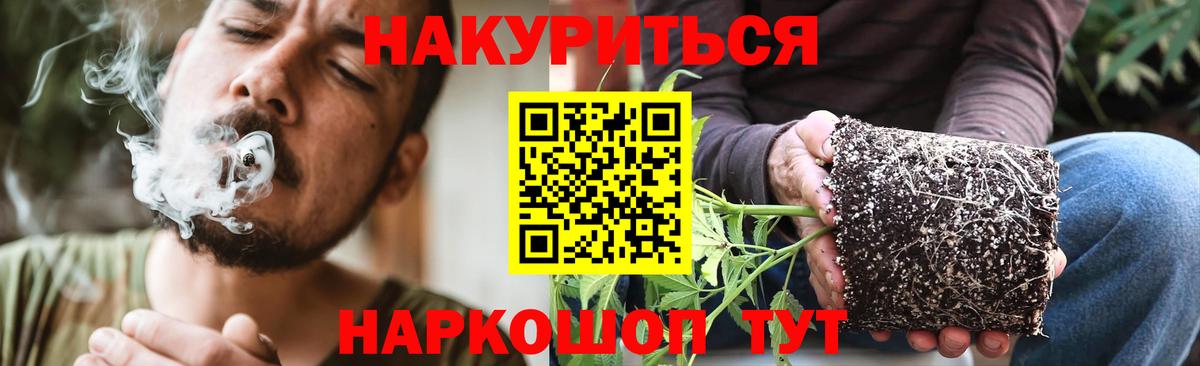 Конопля Bruce Banner  Марихуана THC 21%  Вход с VPN  Усть-Лабинск  Конопля конопля  Марихуана Ganja 